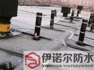 昆山規(guī)模大的防水補漏哪家好金質服務